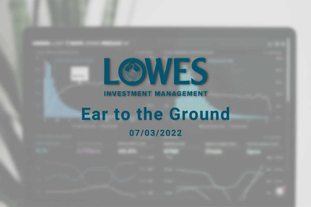Lowes Investment Management Blog
