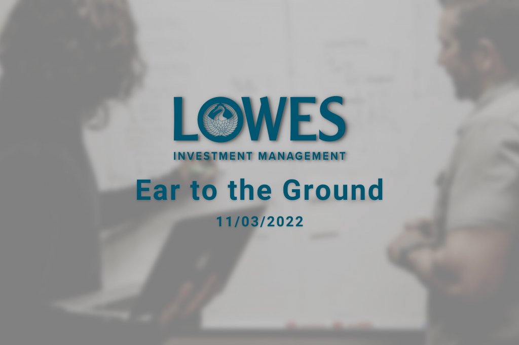 Lowes Investment Management Blog