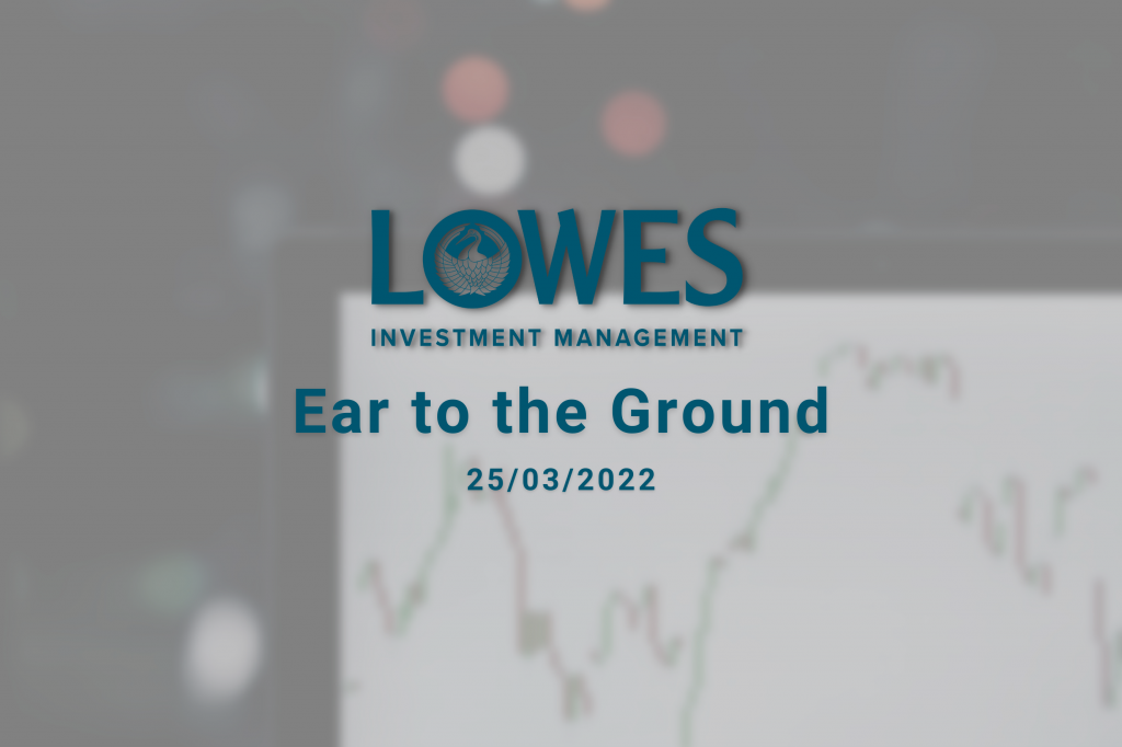 Lowes Investment Management Blog