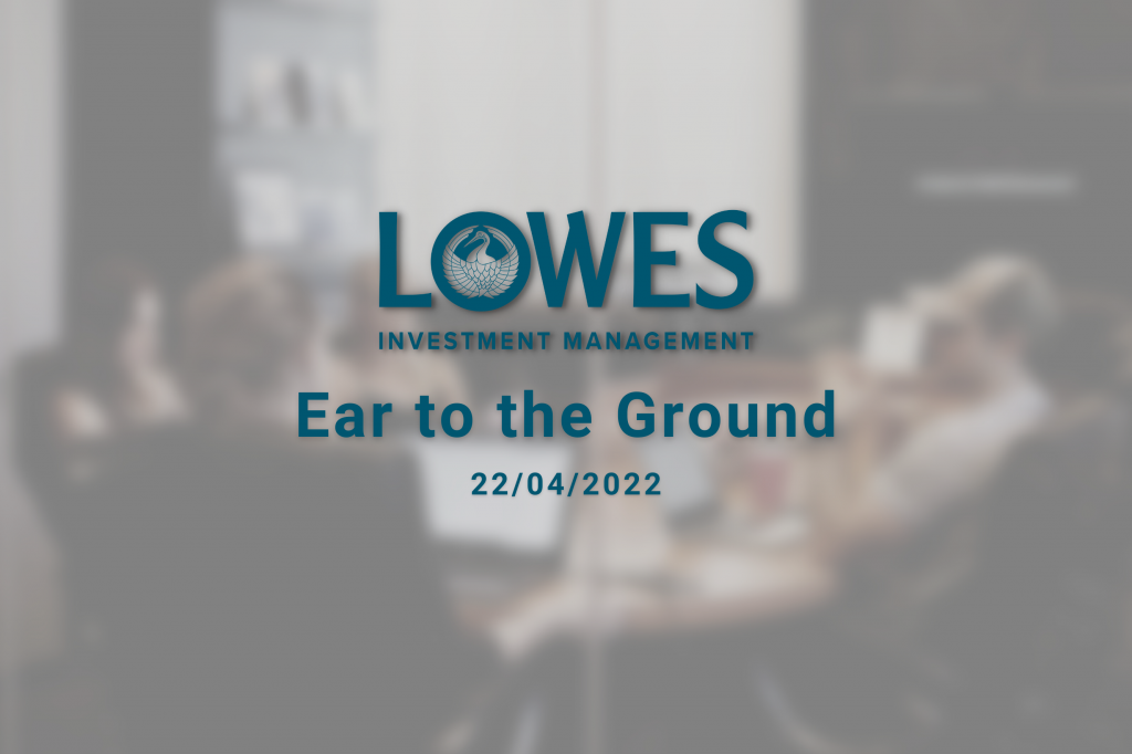 Lowes Investment Management Blog