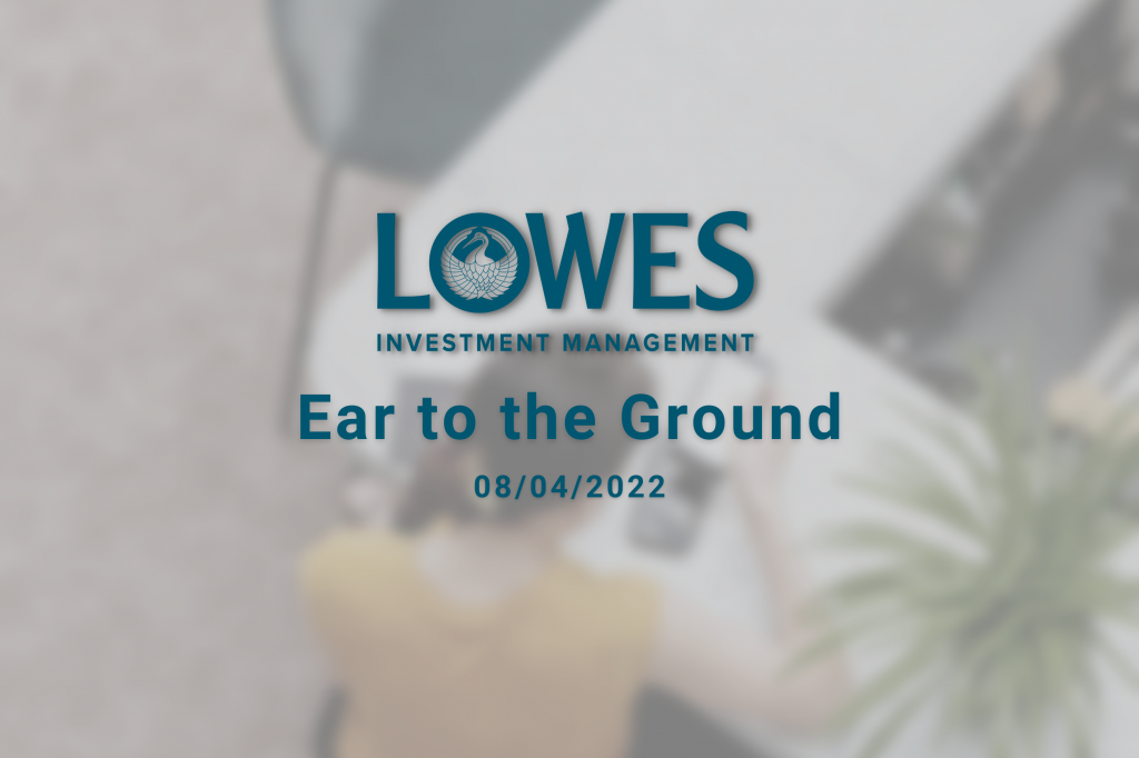 Lowes Investment Management Blog