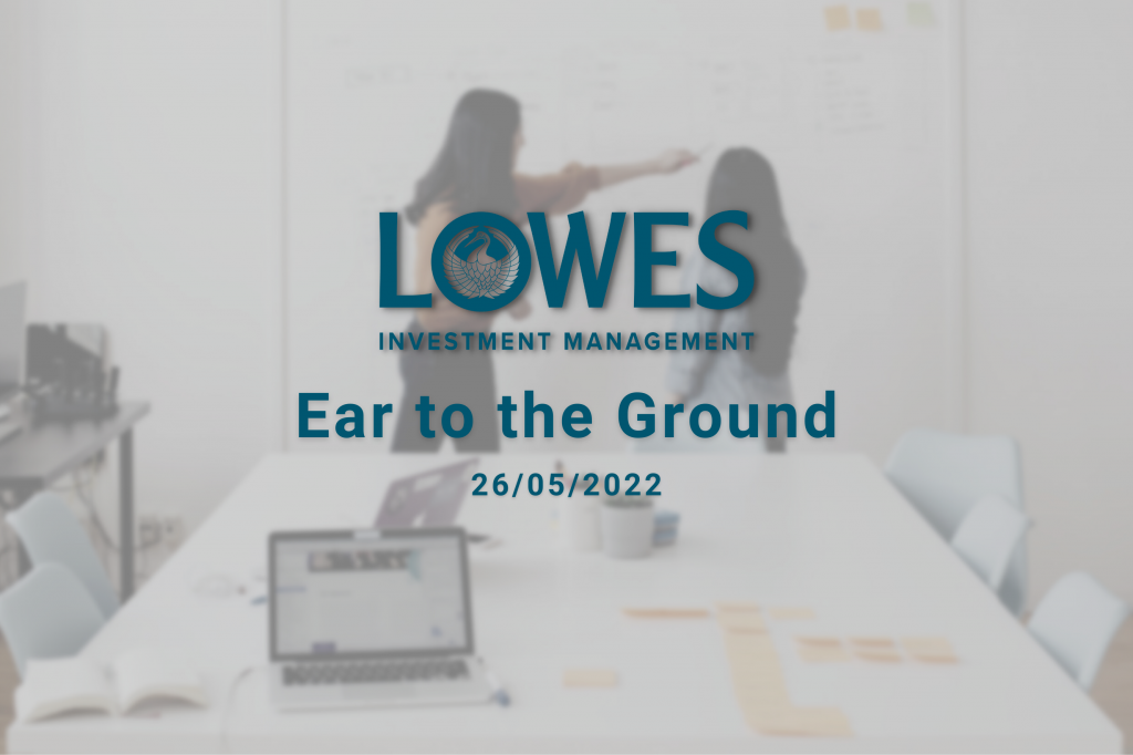 Lowes Investment Management