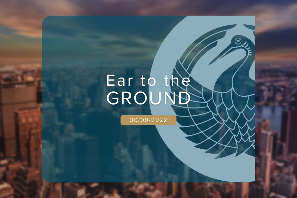 Ear to the Ground